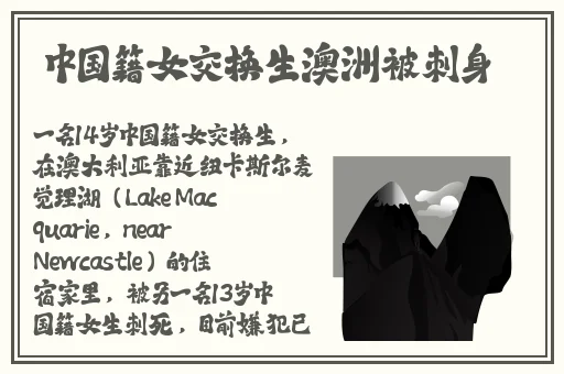 日韩 高清 无码 **