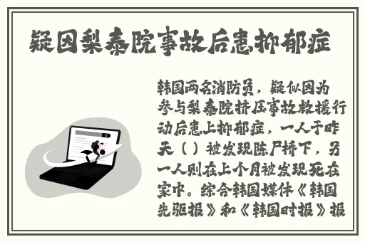 张婉莹暑假作业视频高清